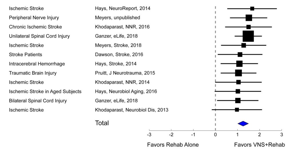 Comparison graph illustrating the growing interest of VNS with rehab