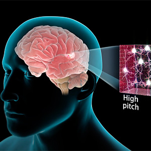 Graphic shows the brain response center for a high pitch